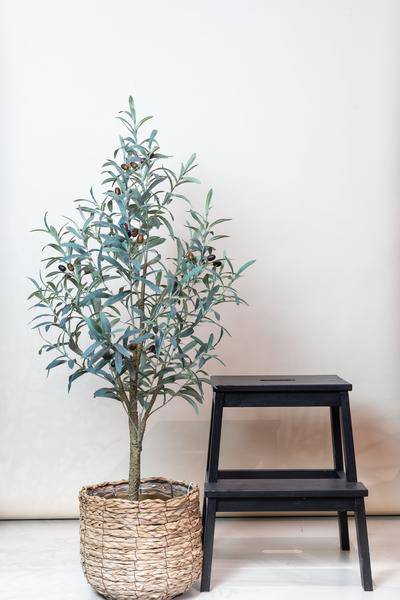 Kunstpflanze - Olea europaea - Olivenbaum - 115 cm 