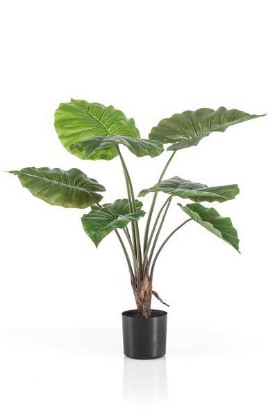 Kunstpflanze - Alocasia - 70 cm 