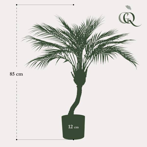 Kunstpflanze - Chamaedorea Elegans - Bergpalme - 85 cm 