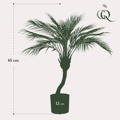 Kunstpflanze - Chamaedorea Elegans - Bergpalme - 85 cm 