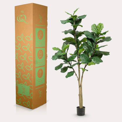 Kunstpflanze - Ficus Lyrata - Tabakpflanze - 180 cm 
