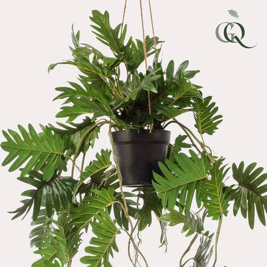 Kunstpflanze - Philodendron - 80 cm 