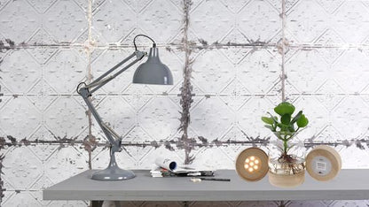 Clusia In Kingston Glas + LED - Ø12cm - ↕30cm 