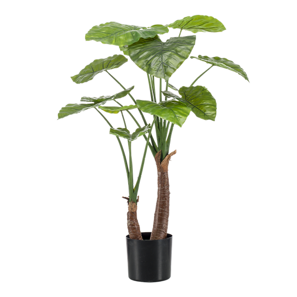 Alocasia – Künstliche Zimmerpflanze – Pfeilblätter – ↕110 cm – Tropische Deko für Wohnzimmer, Flur & Wintergarten 