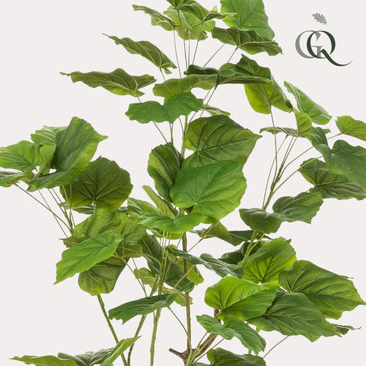 Ficus umbellate - Afrikanische Feige - Kunstpflanze - Zimmerpflanze - ↕125cm 