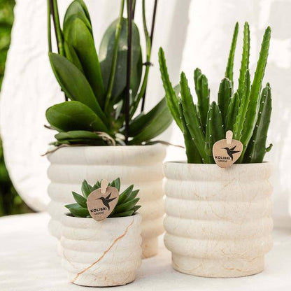 Marmor-Topf - Leicht - Ø12cm 