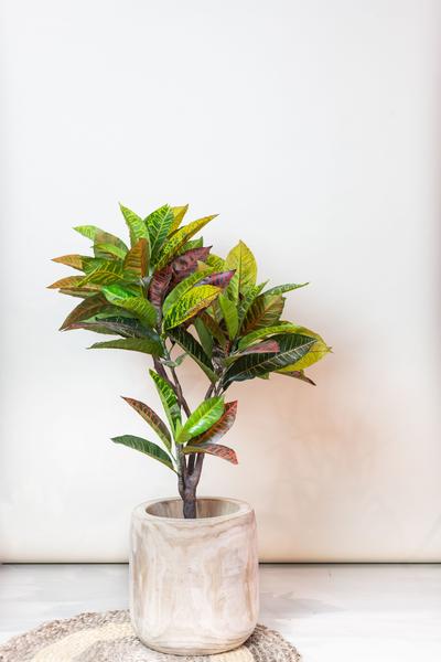 Kunstpflanze - Croton Codiaeum - Wunderstrauch - 95 cm 