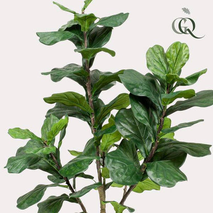 Kunstpflanze - Ficus Lyrata - Tabakpflanze - 180 cm 