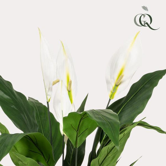 Spathiphyllum – Löffelpflanze – Künstliche Zimmerpflanze – Wartungsfrei – Ø90cm – Deko für Wohnzimmer, Büro & Küche 