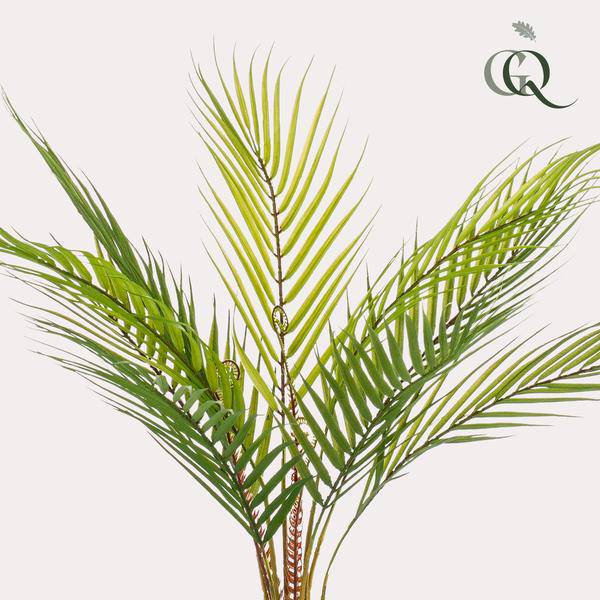 Kunstpflanze - Chamaedorea Elegans - Bergpalme - 50 cm 