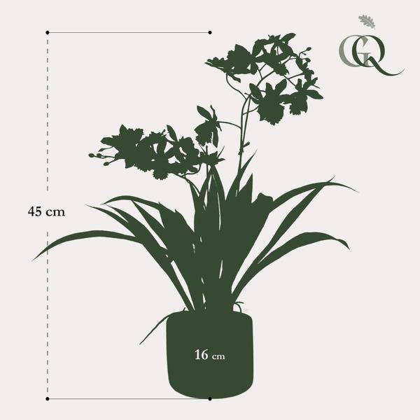 Kunstpflanze - Orchidee - Gelb - ↨45cm 