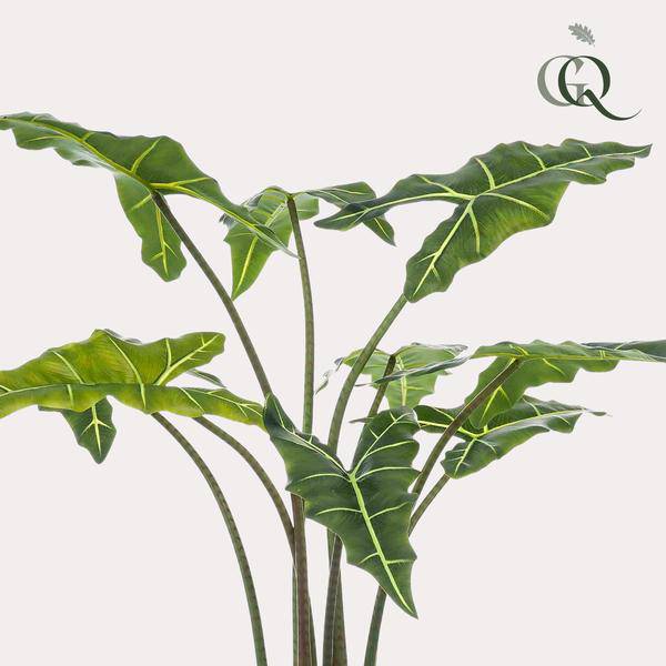 Kunstpflanze - Alocasia Frydek - 120 cm 