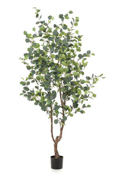 Kunstpflanze - Eukalyptusbaum - Blauer Gummibaum - 180 cm 