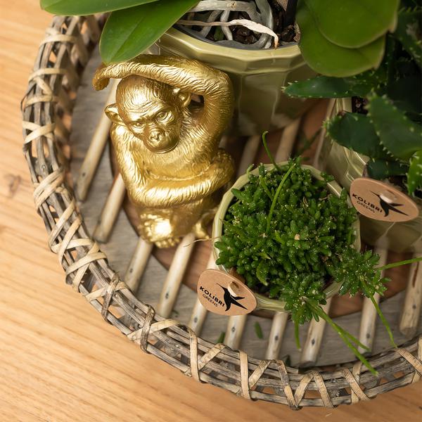 Ornament Dekoskulptur Sitzender Affe – Gold – Handgefertigte Polystone-Figur – 13cm – Verspieltes Dekoaccessoire für Zuhause und Pflanzensets 