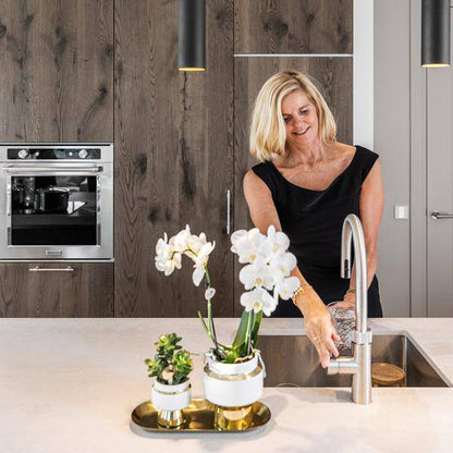 Sukkulenten 2er-Set in eleganten Le Chic Keramiktöpfen – Ø9 cm – Pflegeleichte Grünpflanzen – Weiß mit goldenen Details – Dekoratives Pflanzen-Set für Zuhause & Büro 