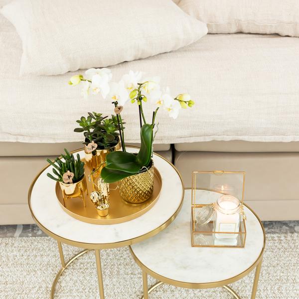 Weiße Phalaenopsis-Orchidee Amabilis + Diamant-Dekotopf gold – Ø9cm – 40cm hoch – Blühende Zimmerpflanze im eleganten Metallic-Topf 