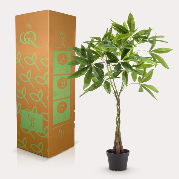 Geldbaum Pachira Aquatica – Künstliche Zimmerpflanze – ↕90 cm – Realistischer Doppelstamm & große glänzende Blätter – Pflegefrei 