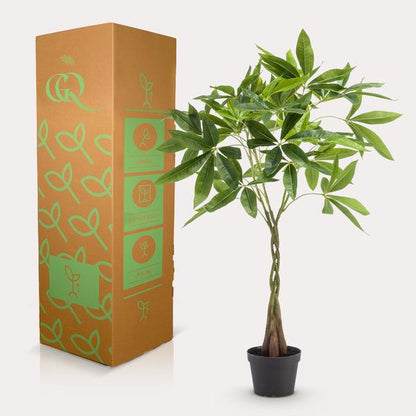 Geldbaum Pachira Aquatica – Künstliche Zimmerpflanze – ↕90 cm – Realistischer Doppelstamm & große glänzende Blätter – Pflegefrei 