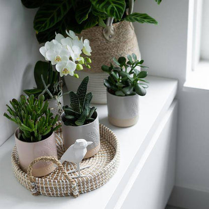 Weißes Geflochtenes Tablett Ø30cm – Handgewebtes Deko-Tablett – Pflanzentablett & Wohnaccessoire 