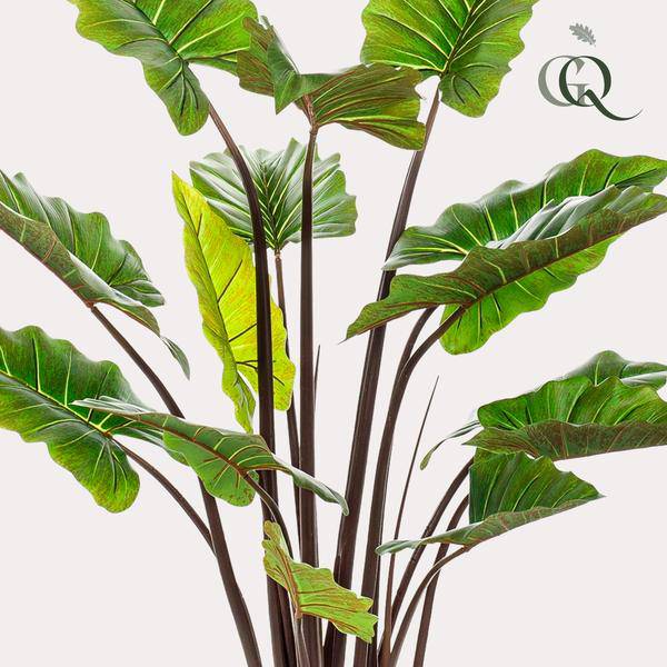 Kunstpflanze - Colocasia Pink China - Elefantenohr - 130 cm 