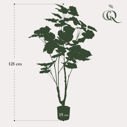 Ficus umbellate - Afrikanische Feige - Kunstpflanze - Zimmerpflanze - ↕125cm 