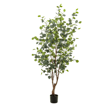 Kunstpflanze Eukalyptusbaum – Blue Gum Tree – ca. 140cm hoch – Täuschend echt & pflegefrei – Für Wohnzimmer, Büro & dunkle Räume – Immergrün & stilvoll 