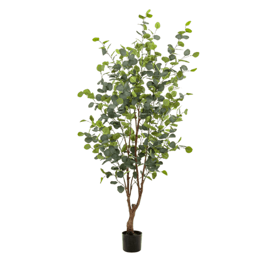 Kunstpflanze Eukalyptusbaum – Blue Gum Tree – ca. 140cm hoch – Täuschend echt & pflegefrei – Für Wohnzimmer, Büro & dunkle Räume – Immergrün & stilvoll 