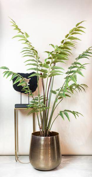 Kunstpflanze - Rumohra Adiantiformis - Lederfarn - 150 cm 