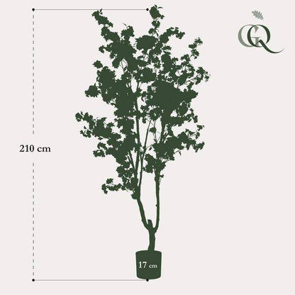 Künstliche Kirschblüte Prunus – Weiß – ca. 210cm hoch – Realistische Deko-Kunstpflanze – Wartungsfrei – Für Wohnzimmer, Büro & Eingangsbereich 