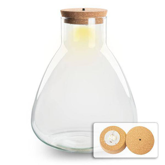 Flaschengarten – Terrarienflasche mit LED-Korken – Erlenmeyerkolben – Geschlossenes Terrarium – Höhe 30 cm – Deko mit Licht & Natur 