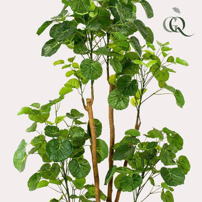 Kunstpflanze - Polyscias - Aralia - 160 cm 