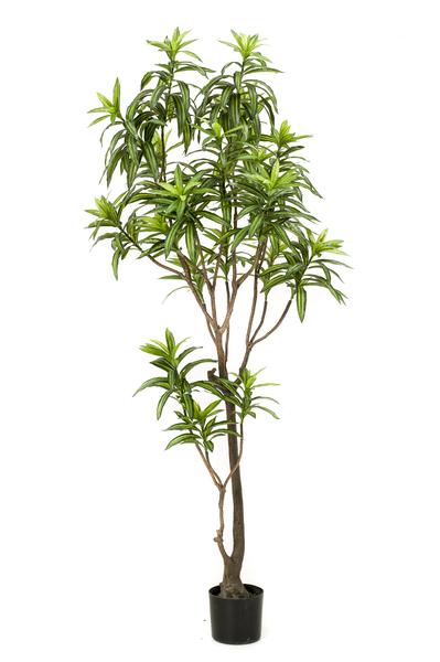 Kunstpflanze - Dracaena - Drachenbaum - 190 cm 