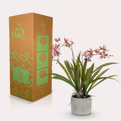 Künstliche Pflanze - Orchidee - Bordeaux - ↨45cm 