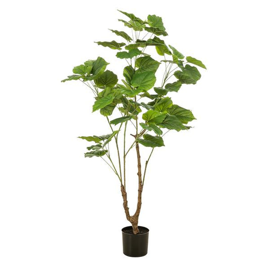 Ficus umbellate - Afrikanische Feige - Kunstpflanze - Zimmerpflanze - ↕125cm 