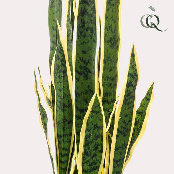 Kunstpflanze - Sanseveria Trifasciata - Frauenzunge - 97 cm 