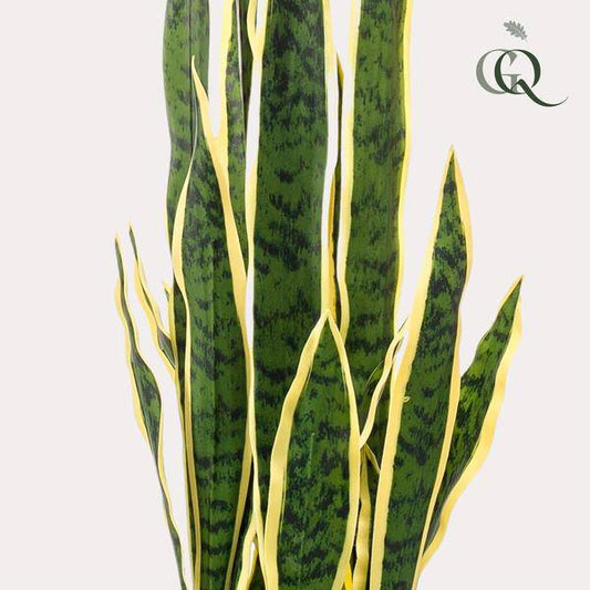 Kunstpflanze - Sanseveria Trifasciata - Frauenzunge - 97 cm 