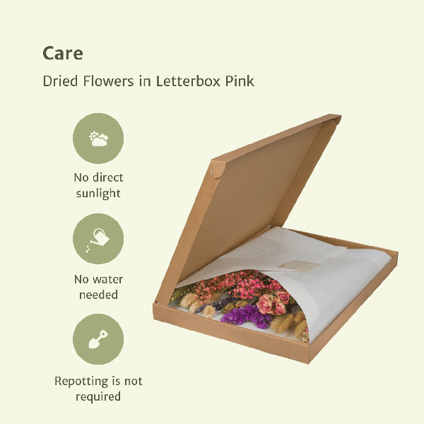Trockenblumen im Briefkasten Rosa – Eleganter getrockneter Blumenstrauß – Sanfte Weiß-, Beige- & Hellrosa-Töne – Pflegefreie Deko – Perfekt für Innenräume 