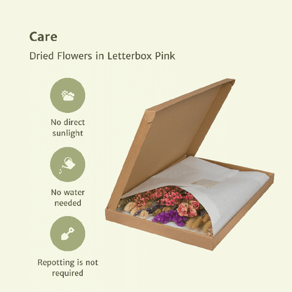 Trockenblumen im Briefkasten Rosa – Eleganter getrockneter Blumenstrauß – Sanfte Weiß-, Beige- & Hellrosa-Töne – Pflegefreie Deko – Perfekt für Innenräume 