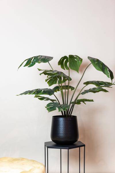Kunstpflanze - Monstera Deliciosa - Löcherpflanze - 95 cm 
