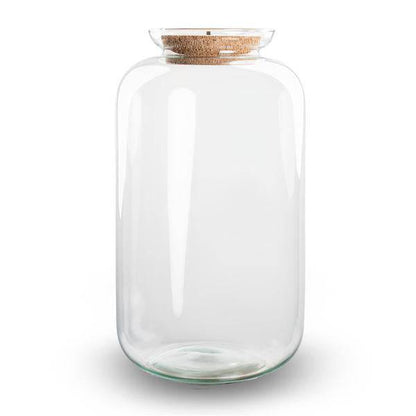 Flaschengarten - Terrarium Flasche + LED in Kork - Sven XL - ↑43cm – Recyceltes Glas – Geschlossenes Terrarium – Mit Beleuchtung 