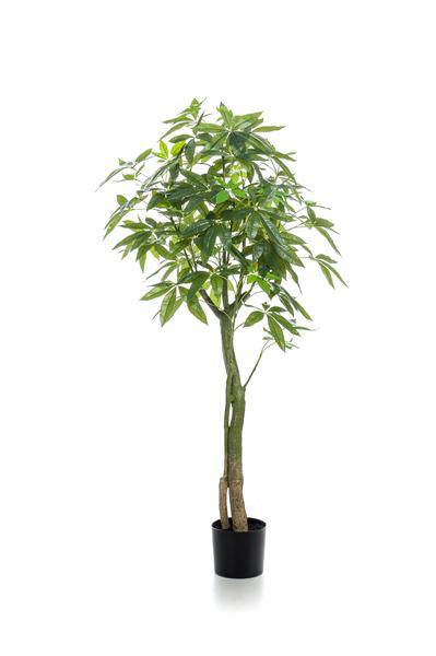 Kunstpflanze - Pachira Aquatica - Glückskastanie - 150 cm 