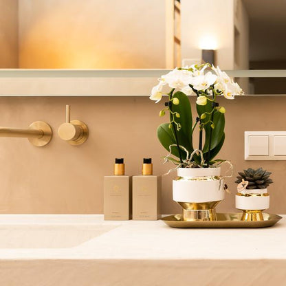 Le Chic Blumentopf – Weißer Keramiktopf mit goldenen Details – Ø6cm – Eleganter Ziertopf für Orchideen & Grünpflanzen – Glänzende Dekoration fürs Zuhause 