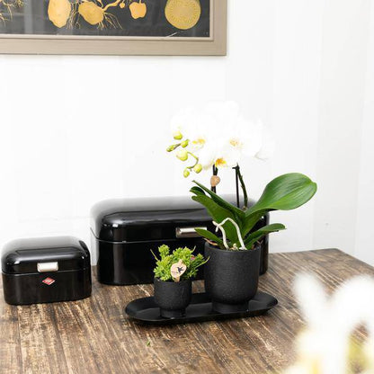 Ovales Tablett Schwarz – Ø30cm x 13cm – Metall-Deko-Tablett für Pflanzensets, Orchideen & Wohnaccessoires – Stilvoller Pflanzenuntersetzer 