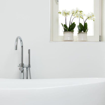 Weiße Phalaenopsis Orchidee Juwel Gent – Blühende Zimmerpflanze – Ø12cm – Elegante weiße Blüten – Perfekt für Zuhause & Büro 