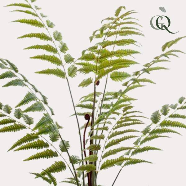 Kunstpflanze - Rumohra Adiantiformis - Lederfarn - 150 cm 