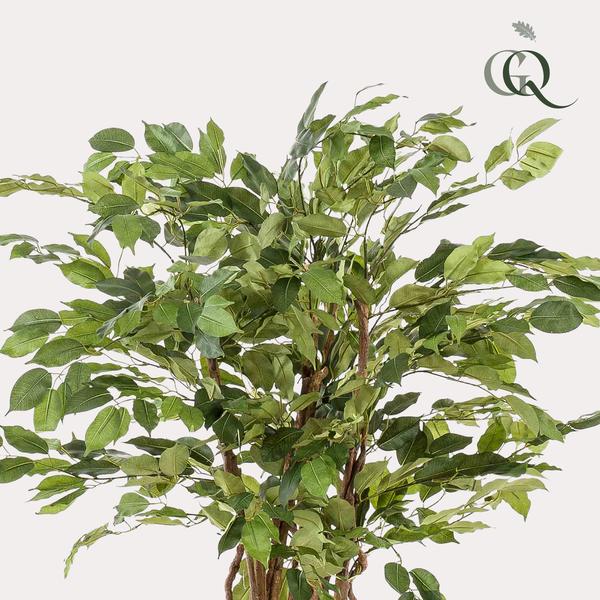 Ficus Liana – Künstliche Zimmerpflanze – ↕140 cm – Realistische Stiefmütterchen-Pflanze – Dekoration für Wohnzimmer, Flur & Wintergarten 