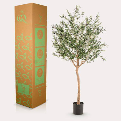 Kunstpflanze - Olea europaea - Olivenbaum - 180 cm 