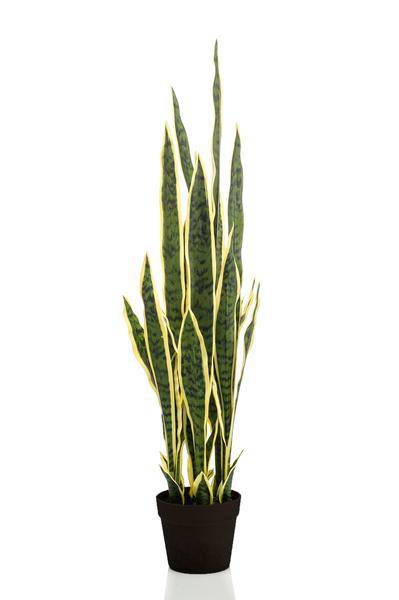 Kunstpflanze - Sanseveria Trifasciata - Frauenzunge - 97 cm 