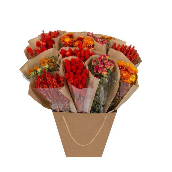Getrocknete Blumen – Mono Mix – Orange – ↕50cm – Handgebundener Strauß – Langlebig & pflegeleicht – Dekoration & Geschenkidee 