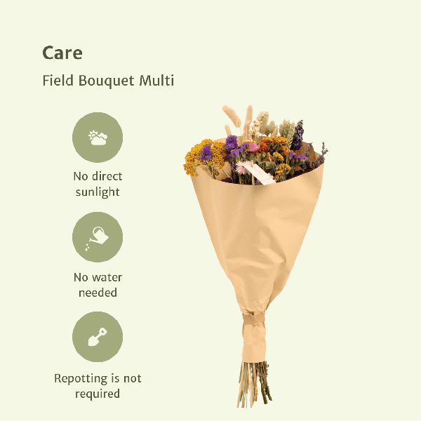 Trockenblumen – Feldblumenstrauß Multi – Bunter Trockenstrauß – ca. Ø25cm ↕60cm – Naturdeko für Innen – Langlebig & Pflegeleicht – Geschenkidee 